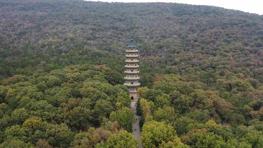 4K 航拍秋天南京钟山风景区的灵谷寺景区