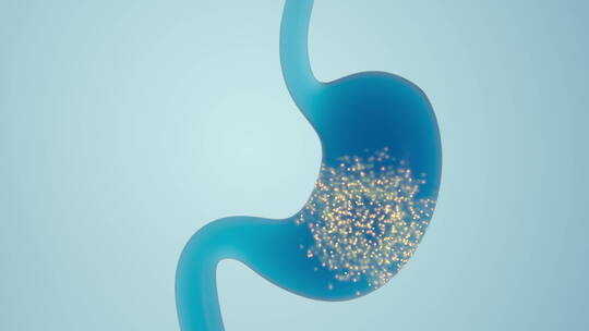 胃部药物吸收动画 3D渲染视频素材模板下载