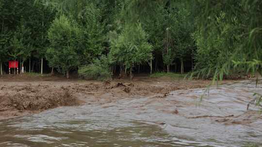 实拍暴雨后洪水 山洪  泥石流