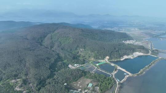 阳江海岸线山峰树林4K航拍视频