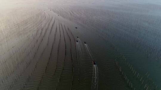 福建霞浦渔船出海视频素材模板下载