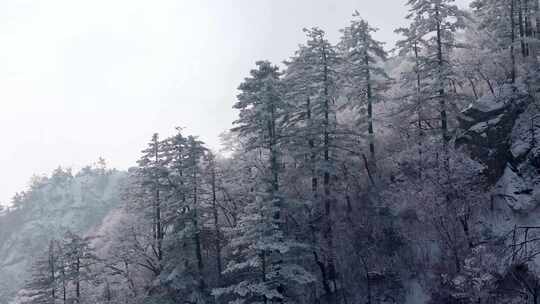 南太行伏牛山雪景雾凇云海自然风光