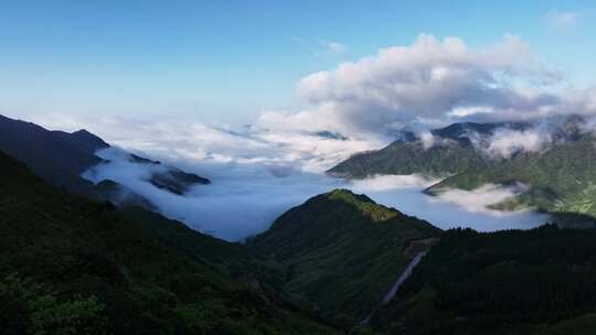 早晨桂林天湖高山峡谷中的云海和高山杜鹃