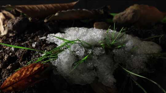 雪融化 冰雪融化 万物复苏视频素材模板下载