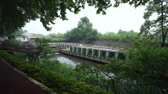 中国科学院武汉植物园沉水植物区