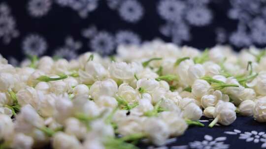 升格慢动作微距特写茉莉花与茉莉花茶制作