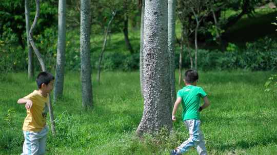 小孩子小朋友在树林里捉虫子玩蚱蜢蝗虫