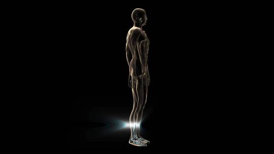 人体和骨骼的3D医学动画与光效果视频素材模板下载