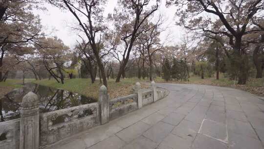 济宁曲阜三孔孔林河流秋色