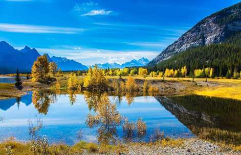 公益宣传曲钢琴叙述感动希望回忆温暖 公益宣传曲钢琴叙述感动希望回忆温暖