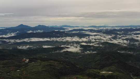 高山草原奶牛云层枚场草丛绿地