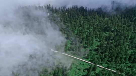 洪雅雅女湖 森林 烟雾缭绕 自然云雾山脉视频素材模板下载