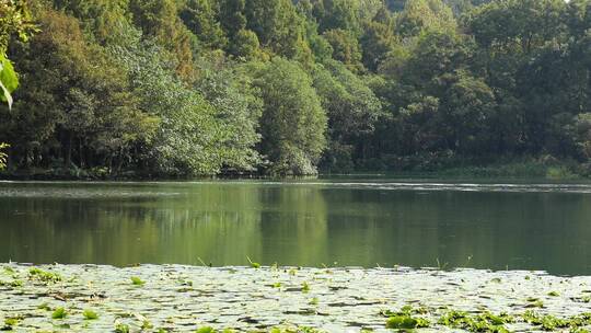 杭州西湖