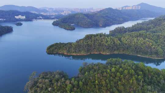 中山长江水库自然保护区