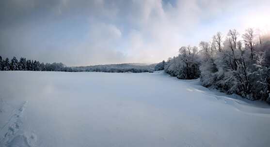 冬天雪地特写雪天风景下雪风光唯美冬季雪景