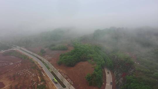 重庆广阳岛晨雾绿化风景