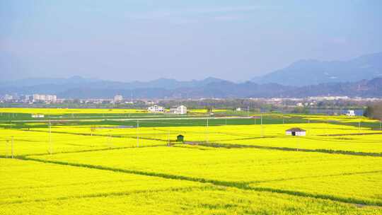 杭州富春江包家淇村春天风景