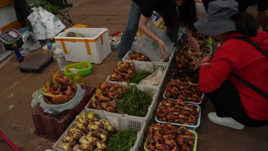 云南木水花野生菌交易市场