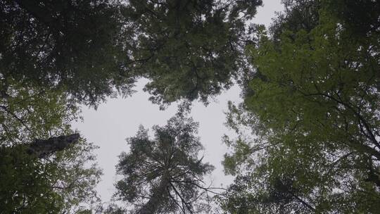 徒步天堂雨崩村自然风光