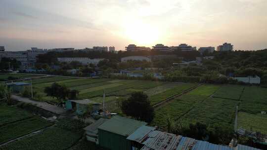 夕阳下的城郊农业基地航拍