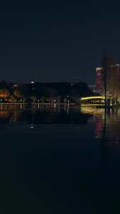 佛山千灯湖公园落羽杉红叶与城市高楼夜景