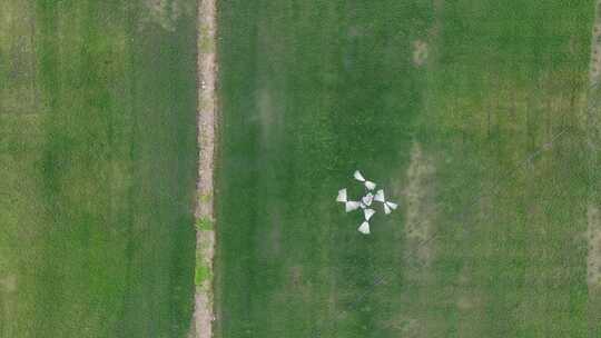 无人机现代农业喷洒农药