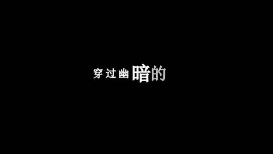 许巍-蓝莲花dxv编码字幕歌词视频素材模板下载