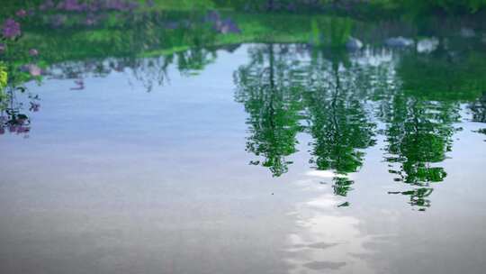 三维湖泊 水面鸟飞过 湿地公园  公园