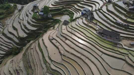 从江加榜梯田近景