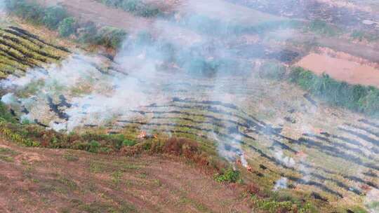 田野秸秆焚烧场景俯拍