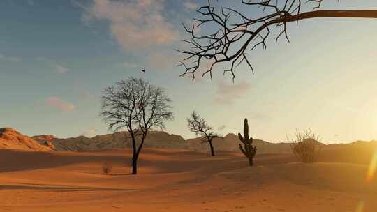 土地沙漠化和干旱贫瘠的沙漠景观