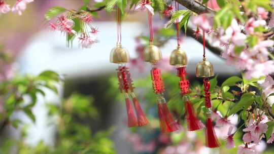 樱花 树下飘动的 风铃特写 风铃