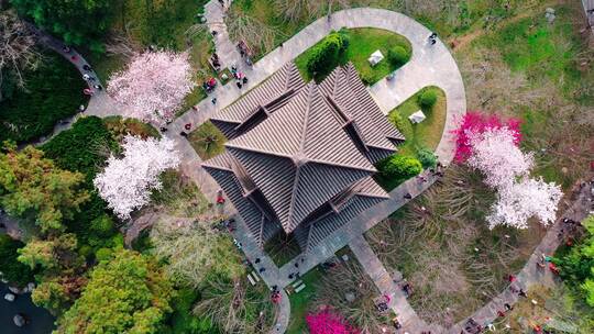 航拍西安青龙寺