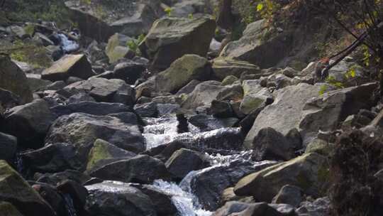 清澈的山间溪水 河流 溪流 溪水