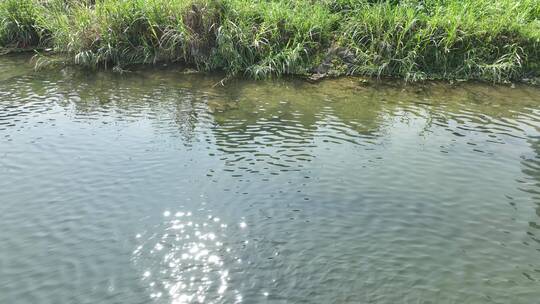 波光粼粼水面清澈河水阳光溪流水面河面湖面