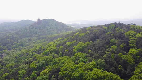 武汉东湖航拍珞珈山俯拍