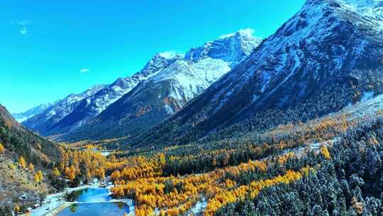 雪山下多彩树林与湖泊相映的美景