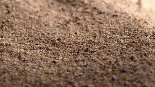 风吹开沙子露出文物甲骨文野外考古发掘研究视频素材模板下载