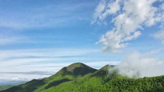 山川植被森林流云延时