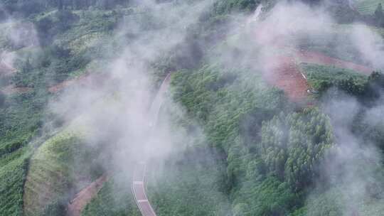 云雾缭绕的山林间蜿蜒公路航拍