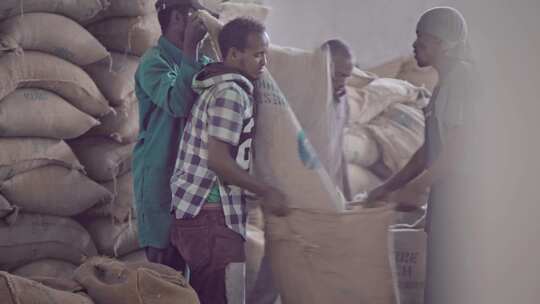 非洲埃塞俄比亚咖啡制作工厂