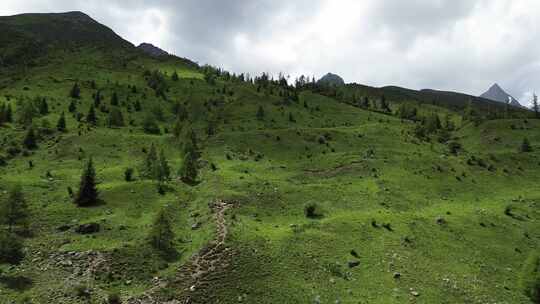 川西四姑娘山雪山峡谷草原航拍