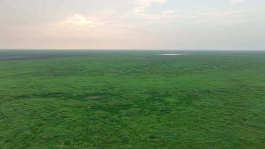 大草原风光航拍鄱阳湖湿地公园风光生态环境