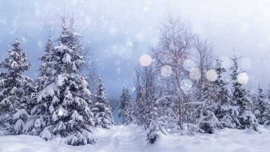白雪覆盖的树木森林冬季景观