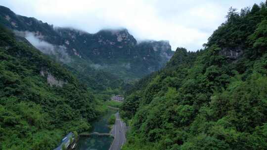 4K三峡竹海自然风光航拍视频