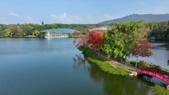 航拍南京中山陵前湖公园秋季景色