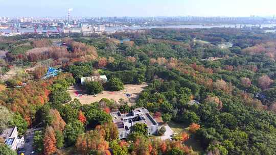 湿地公园秋天风景   公园秋景