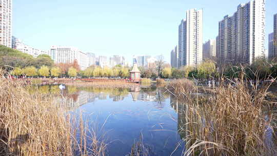 武汉洪山区关山荷兰风情园风景