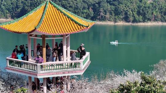 中国广东省广州市从化区广州流溪梅花节