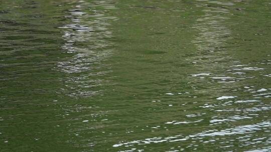 碧绿的河面水面波纹视频素材模板下载